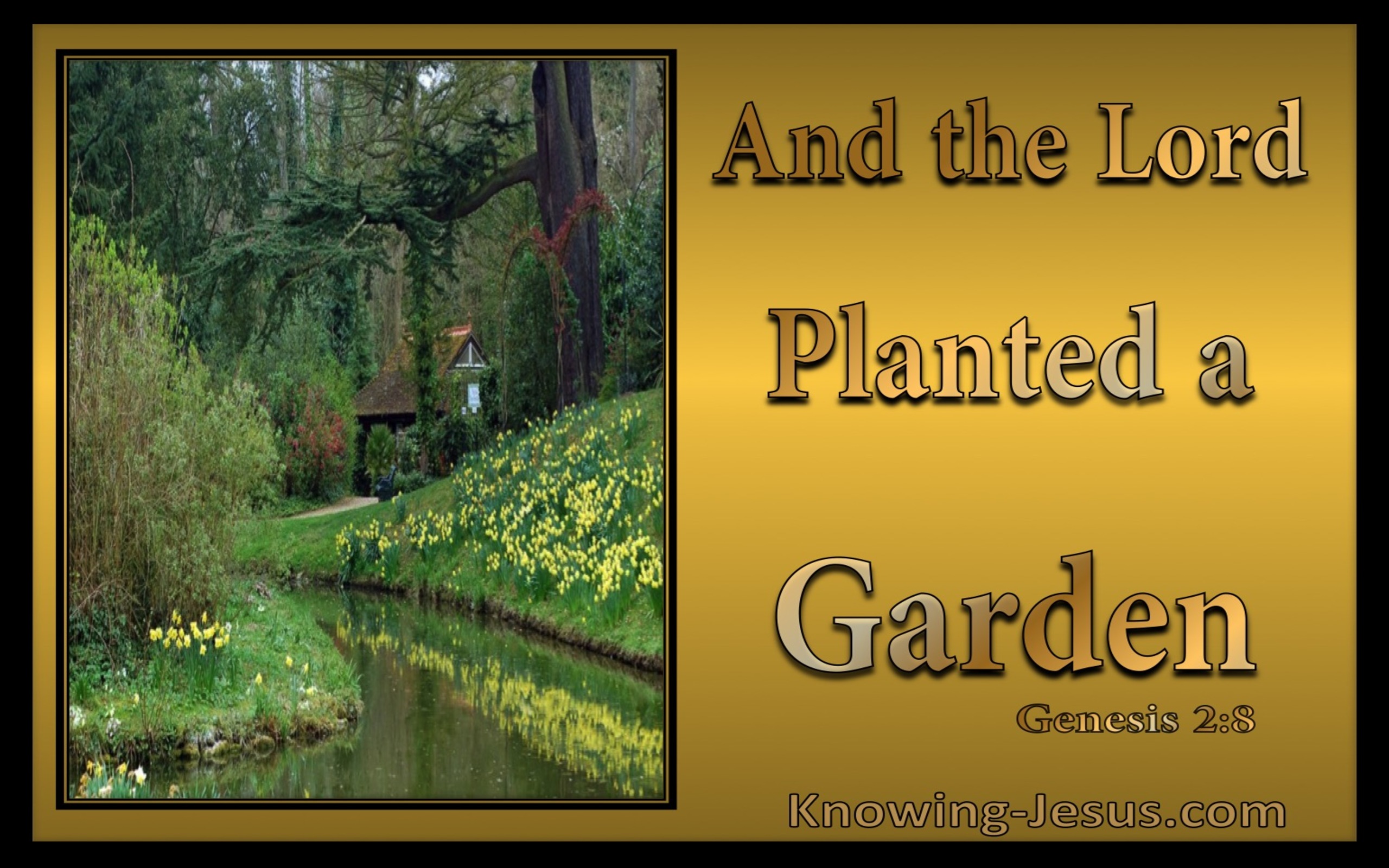Garden Of Delight (devotional)  (gold) - Genesis 2:8